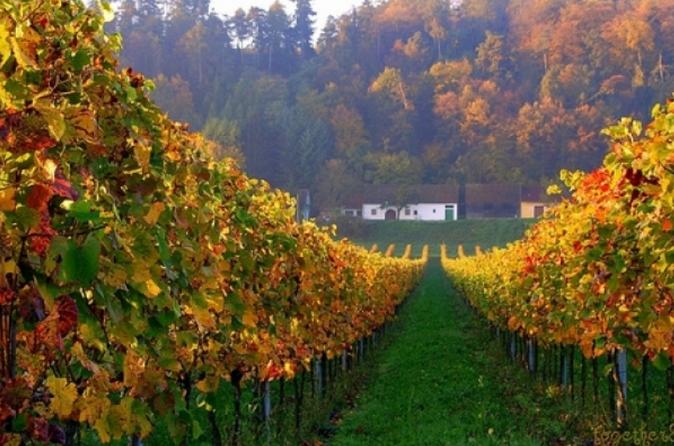 Wine and History Tour to Villany and Pecs from Budapest