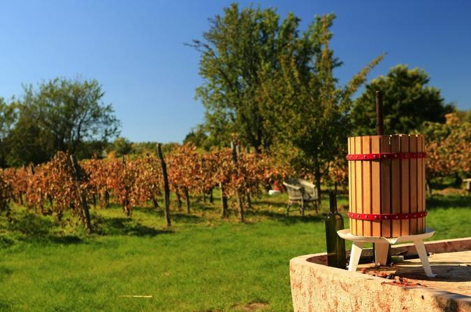 Wine Tour of Etyek from Budapest