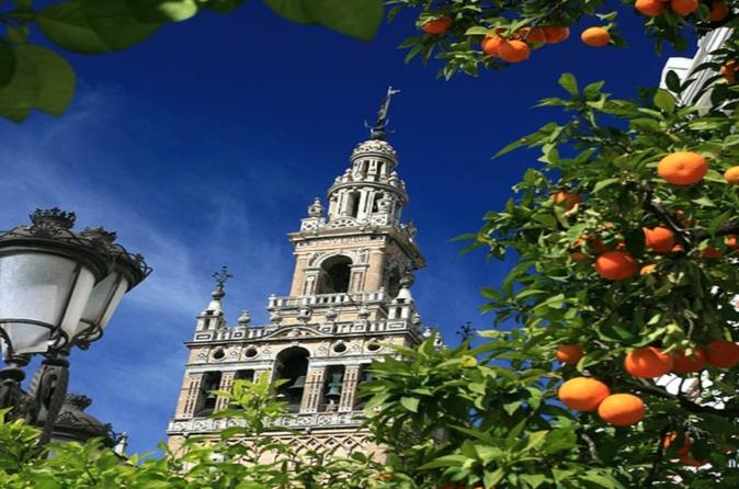 Santa Cruz Quarter and Cathedral Guided Day Tour in Seville