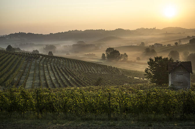 Barolo and Spumante Tour from Milan: the Best Wine Tour