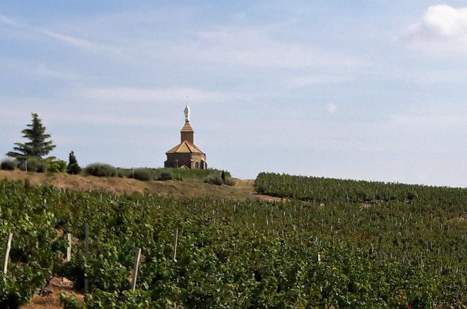 Beaujolais North Wine Private Tour with Wine Tasting from Lyon