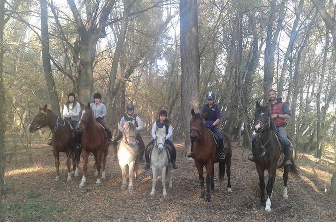Horse Riding Camp near Budapest for Adults and Children ...