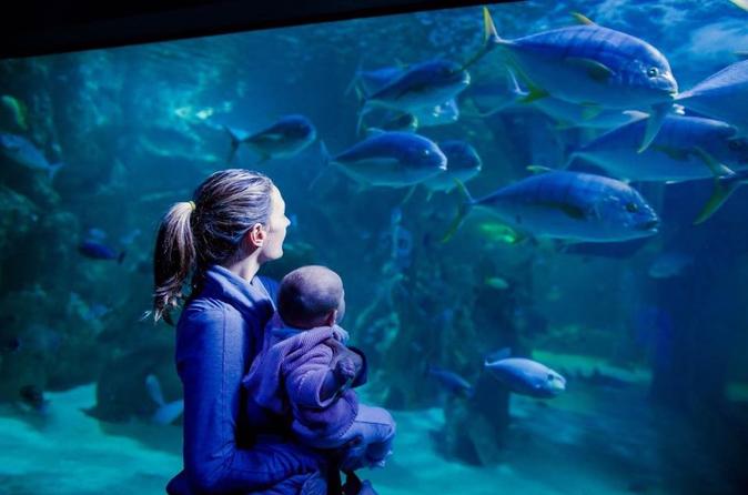 SEA LIFE Sydney Aquarium Entrance Ticket