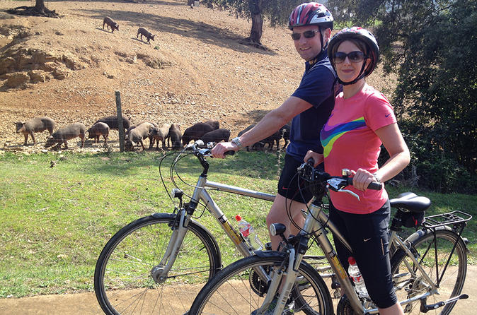 Countryside Bike Tour in Seville