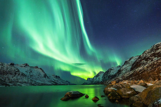 Classic Northern Lights Tour from Reykjavik with Live Guide and Touch-Screen Audio Guide