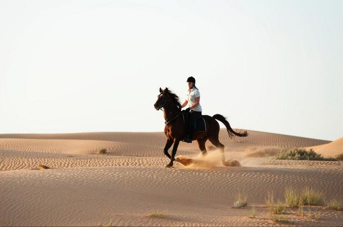 Horse riding coupon dubai