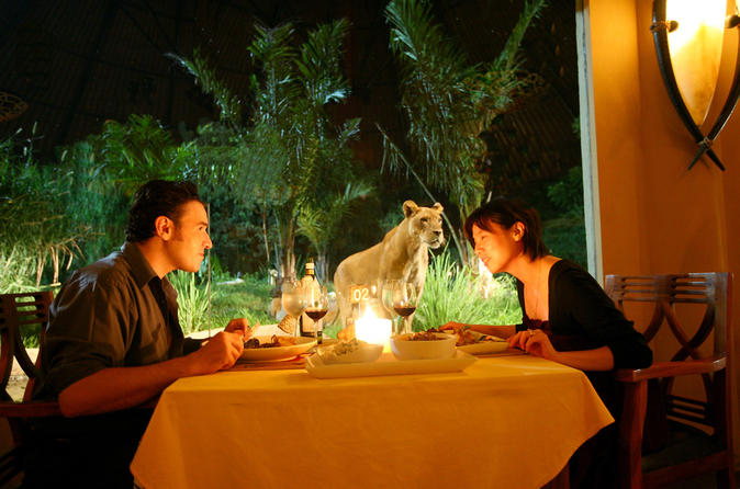 Self-Guided 4-hour Dining With The Lions Small Group Tour in Bali