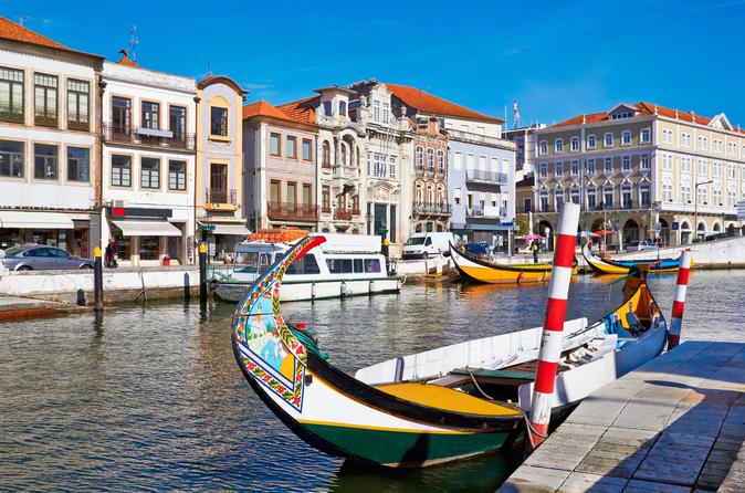 Aveiro and Bairrada Small Group Tour Food and Wine