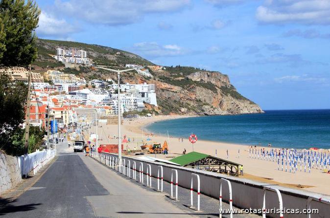 Half-Day Private Tour - Setúbal Wine Tasting and Lunch ate the Beach from Lisbon