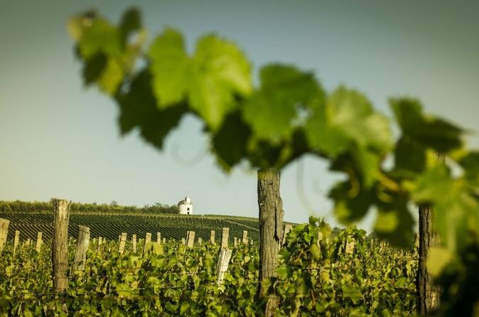 Full-day tour of Tokaj - The World's First Closed Wine Region