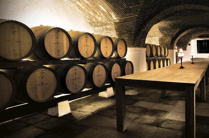 Lisbon: Private Tour All day in Évora with wine taste: in Mercedes