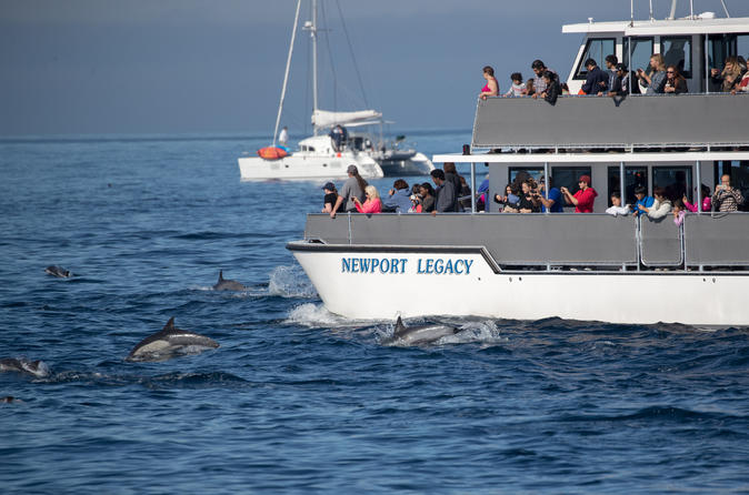 Whale-Watching Cruise from Newport Beach