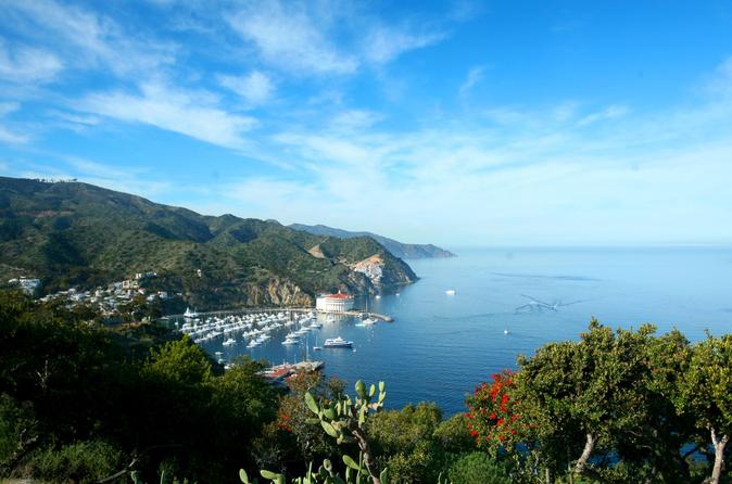 Catalina Island Day Trip from Anaheim or Los Angeles with Optional Upgrades