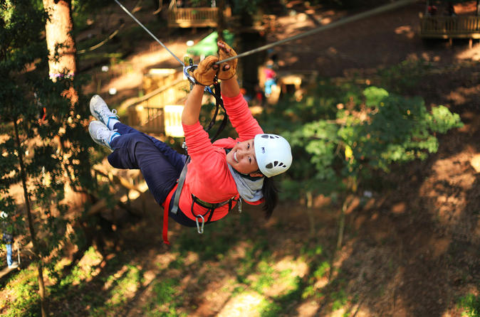 Tree Ropes and Zipline Experience in The Dandenong Ranges