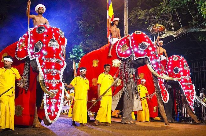 One Day Visit to Esala Perahera Kandy From Negombo