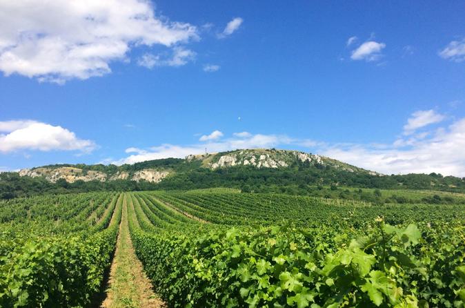 Ultimate wine tasting experience from Prague to Moravia 3 days tour