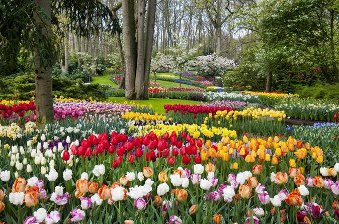 Keukenhof Gardens Direct Entrance Ticket