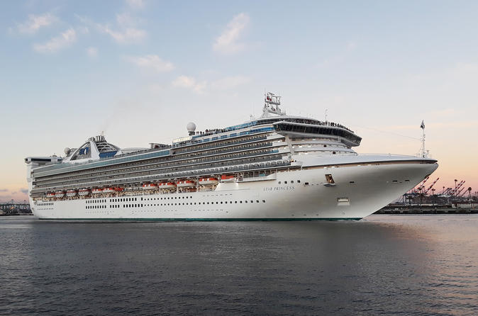 Private One-Way Airport to Los Angeles Cruise Port SUV Transfer