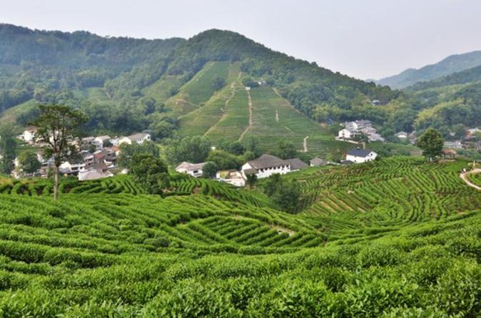 Hangzhou Sightseeing Private Full-Day Tour with West Lake