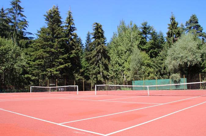 Tennis court rent