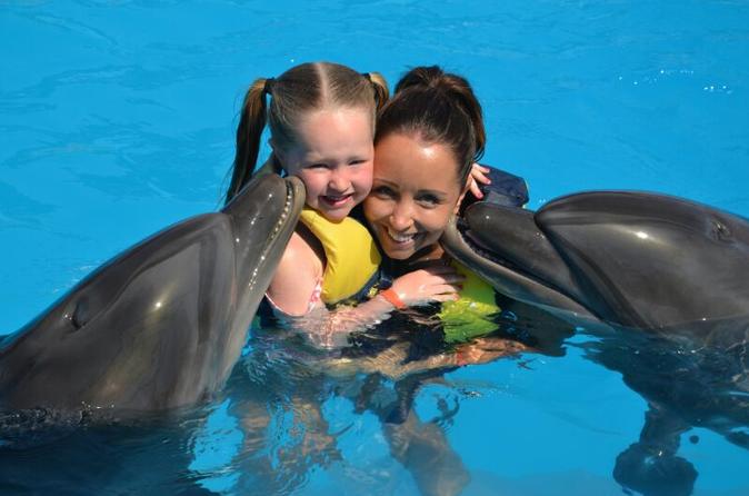 Dolphin Show And Swimming