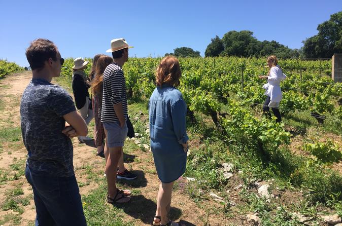 Authentic Winery & Wine Tasting