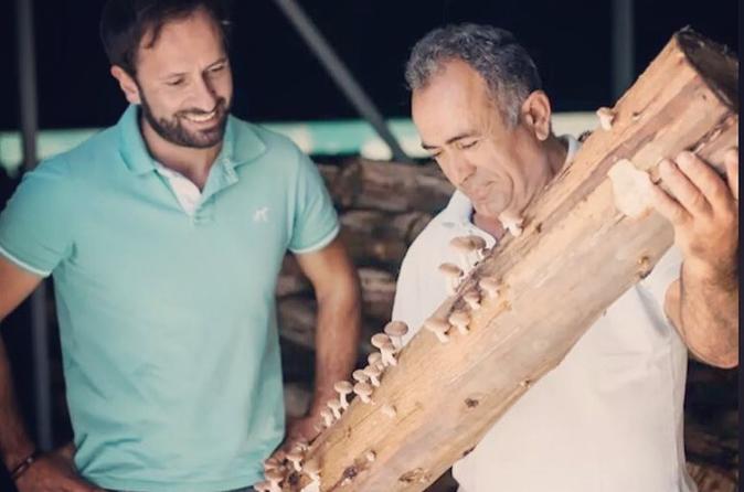 Shiitake Mushrooms Farm Experience