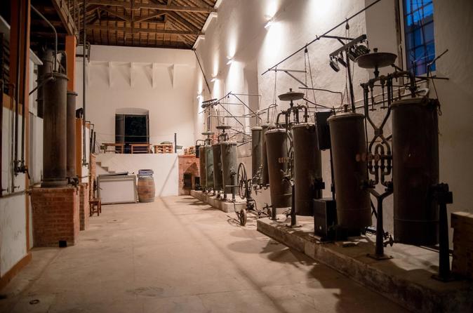 Vintage Wine Estate Experience