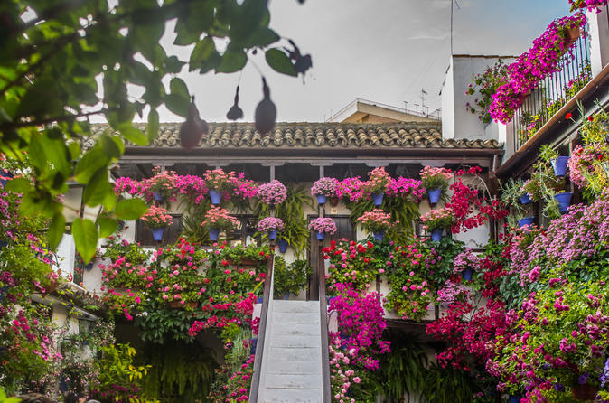 Guided Tour to the Popular Patios of Cordoba