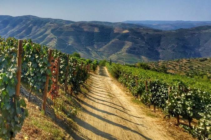 DOURO TASTING (FULL DAY PRIVATE TOUR, ALL INCLUDED)