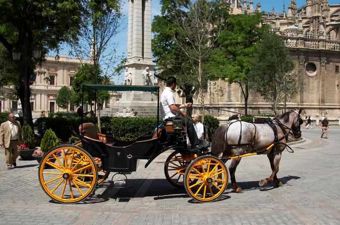 Private Horse Carriage Ride and Walking Tour of Seville