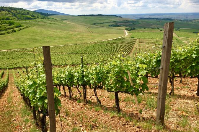 Tokaj exclusive wine experience