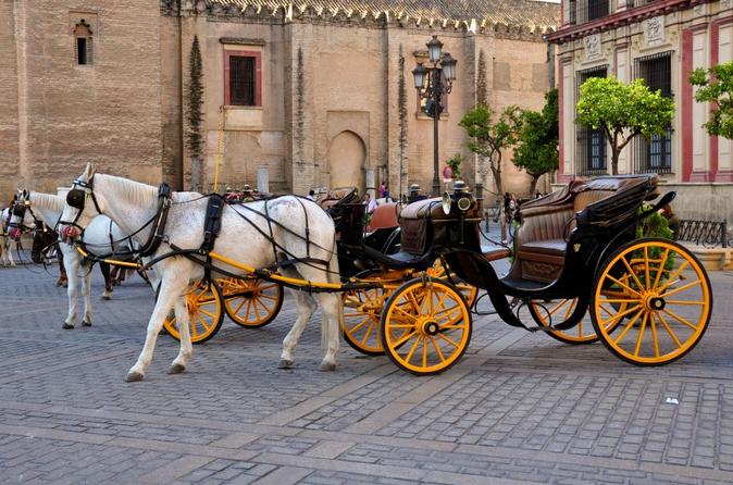 Horse and Carriage Sightseeing Tour in Seville