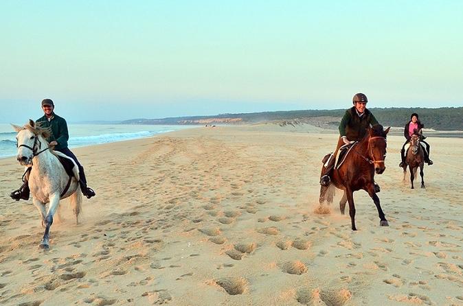 WONDERES OF ARRABIDA  3 DAYS OF UNFORGETABLE  EXPERIENCES WITH HORSEBACK RIDING