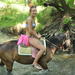 Horse Safari From Marmaris 