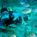 Scuba Diving from Marmaris