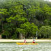 Kayak and Bushwalking Day Tour from the Gold Coast Including Currumbin Wildlife Sanctuary