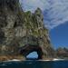 Private Tour: Bay of Islands Day Trip from Auckland