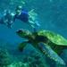 St Maarten Private Sightseeing and Snorkeling Cruise