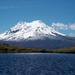 Antisana Volcano Day Tour from Quito