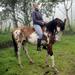 Equator Line Including 3-Hours Horseback Ride in Pululahua Volcano