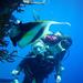 PADI 3 Days Open Water Course