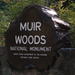 Muir Woods, Sausalito and Tiburon Day Trip from San Francisco