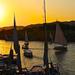 1-Hour Felucca Sunset Sail on the Nile in Cairo