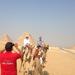 Half-Day Tour Visiting Giza Pyramids and Sphinx By Camel