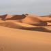 Private Tour: 3-Night Desert Tour from Fez to Marrakech with Camel Trek