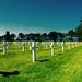 Private Day Tour: Normandy Landing Beaches from Paris 