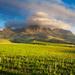 Cape Winelands Tour from Cape Town 