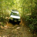 Barron Gorge and Kuranda National Park Half Day Rainforest and Waterfall 4WD Tour from Cairns