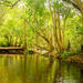 Private Half Day Tour: Exclusive World Heritage Rainforest and Waterfall Tour from Cairns